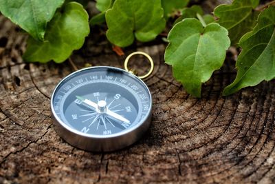 High angle view of compass on field