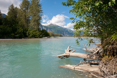 Lower stikine river