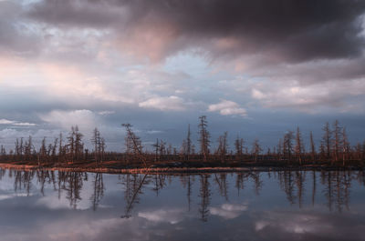 Reflection of trees in lake against sky