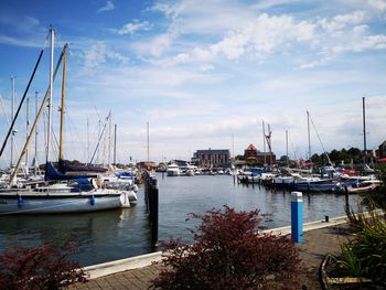 Sailboats moored in harbor