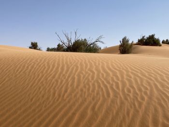 Scenic view of desert against clear sky