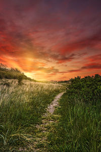Scenic view of field against sky during sunset