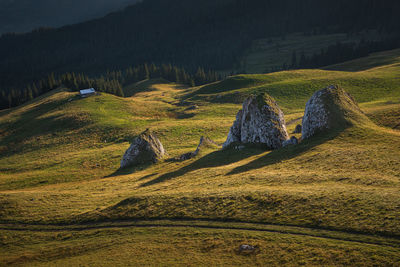 Alpine views from fagaras mountains, romania. summer carpathian landscapes.