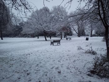 Trees on snow covered field during winter