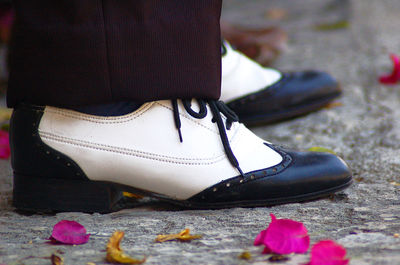 Close-up of pink rose