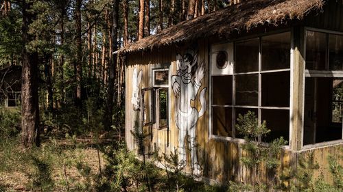 Abandoned building by trees in forest