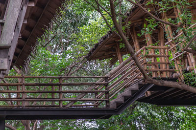 Low angle view of staircase in building