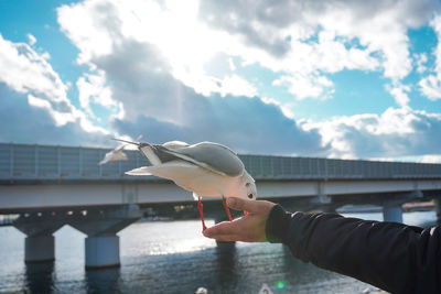 Cropped image of hand holding seagull against bridge