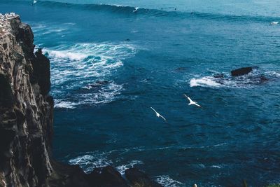 High angle view of birds flying over sea