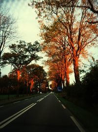 Empty road by trees against sky during autumn