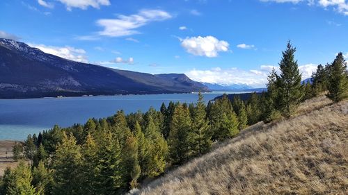 Scenic view of lake by trees against sky