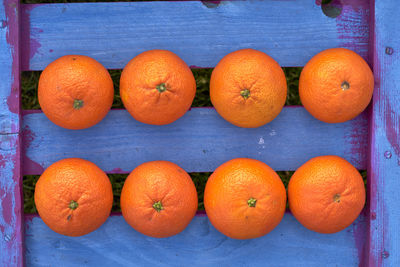 Directly above shot of orange fruits