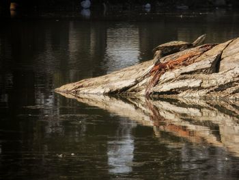 View of a boat in a lake