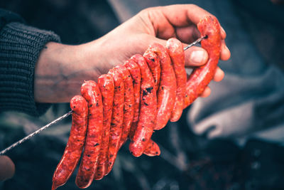 Close-up of hand holding red leaf