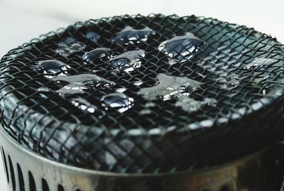 Low angle view of tree