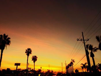 Low angle view of silhouette palm trees at sunset