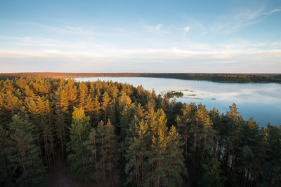 Scenic view of trees by lake against sky