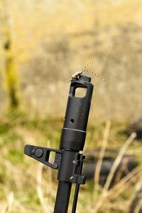 Close-up of coin-operated binoculars on field