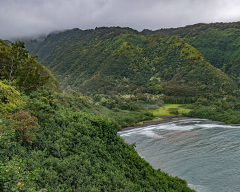 High angle view of trees and mountains against sky