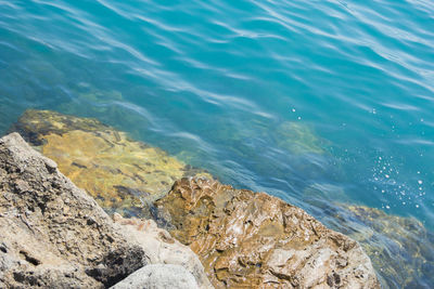 High angle view of rocks on beach