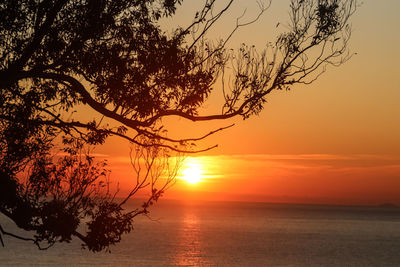 Silhouette tree by sea against romantic sky at sunset