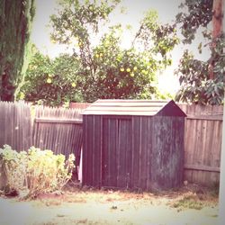 Plants growing outside house against sky