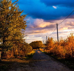 Narrow road along trees on landscape