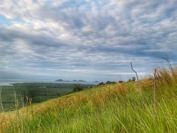 Scenic view of field against sky