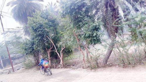 Rear view of man riding bicycle on road