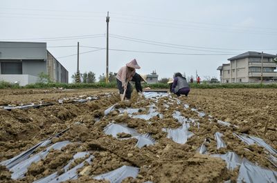 Farmers working on field