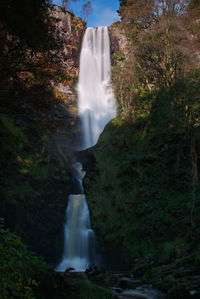 Scenic view of waterfall in forest