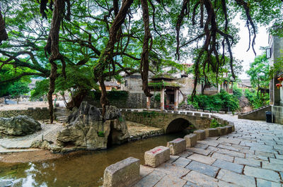 Arch bridge in park