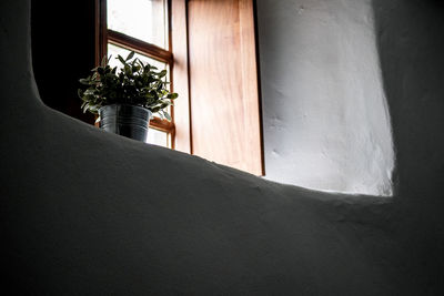 Close-up of potted plant on window of house
