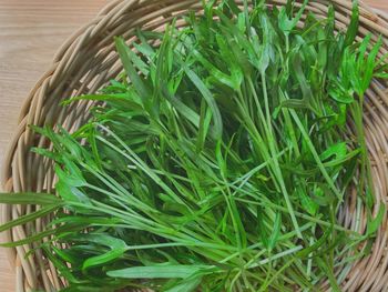 High angle view of leaves in basket on table
