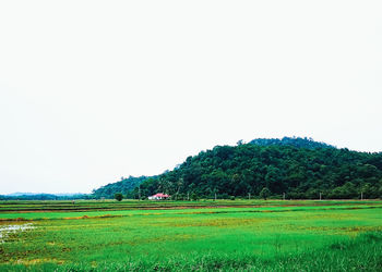 Scenic view of field against clear sky