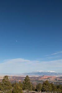 Scenic view of landscape against blue sky