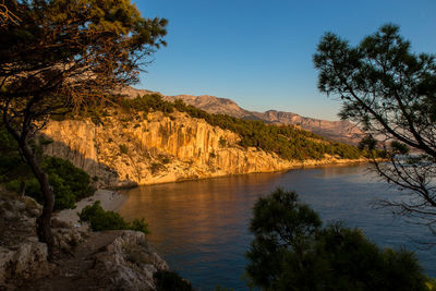 Scenic view of lake by trees against sky