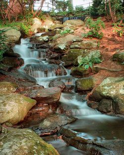 River flowing through rocks in forest