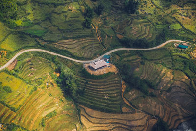 High angle view of agricultural field