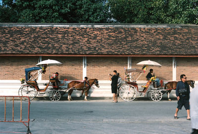 Horse drawn carriage on street in city