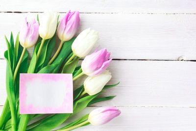Close-up of pink tulips on table