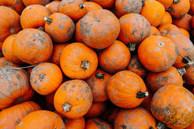 Full frame shot of pumpkins at market stall