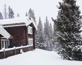 Snow covered houses and trees against sky