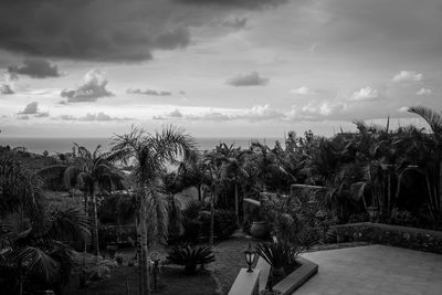 Palm trees on landscape against sky