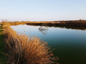 Scenic view of lake against clear sky