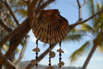 Wind chime hanging from a tree