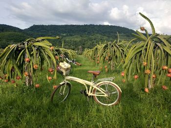 Bicycle parked on field against sky