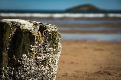 Close-up of water on beach against sky