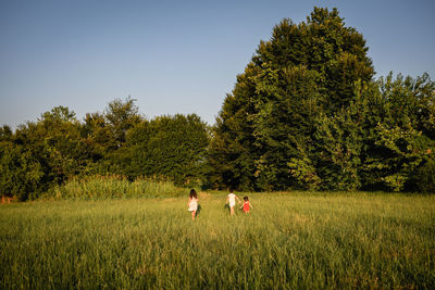 Rear view of three children running in a vast grass field