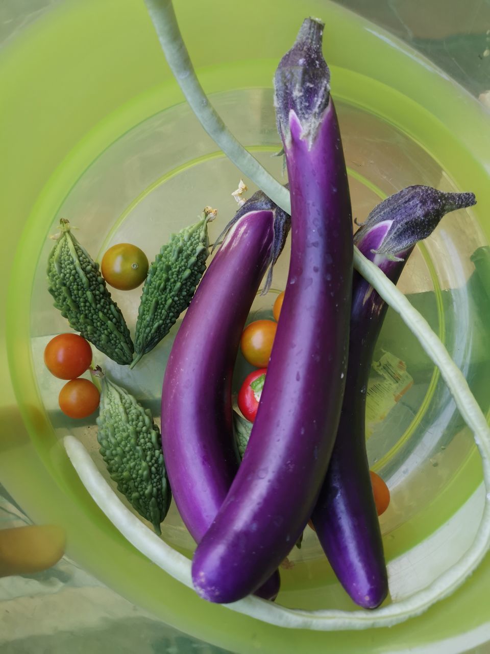 HIGH ANGLE VIEW OF BELL PEPPERS ON GREEN CHILI